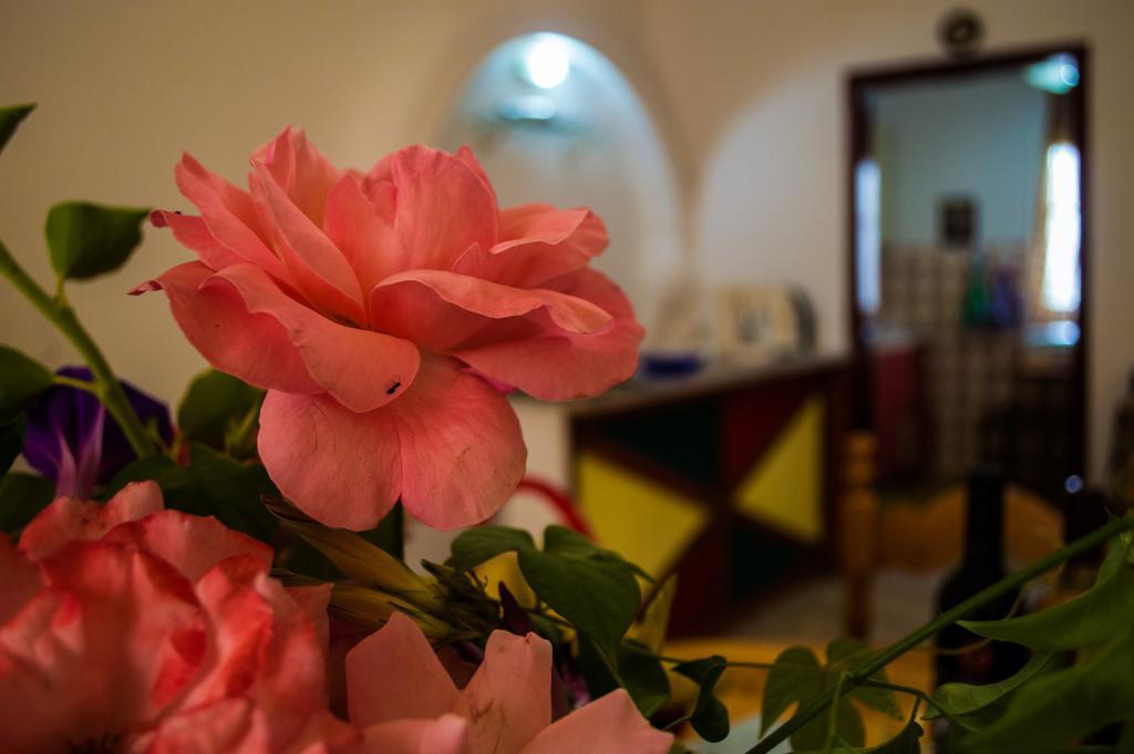 Agathi Beach House Agios Gordios  Dış mekan fotoğraf